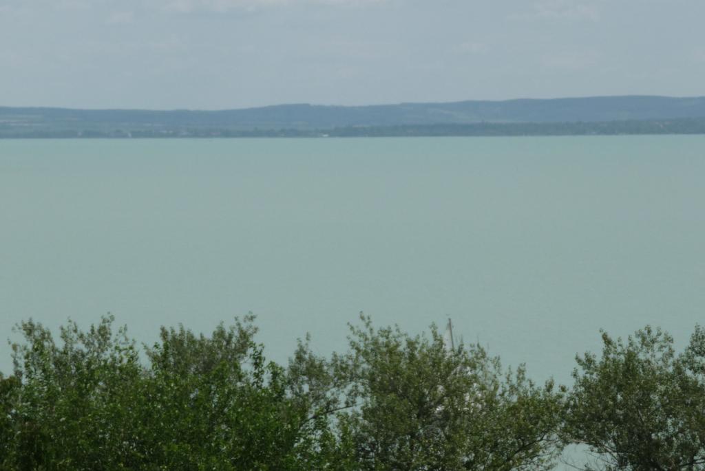 דירות באלאטונספזד Panorama Vendeghaz חדר תמונה